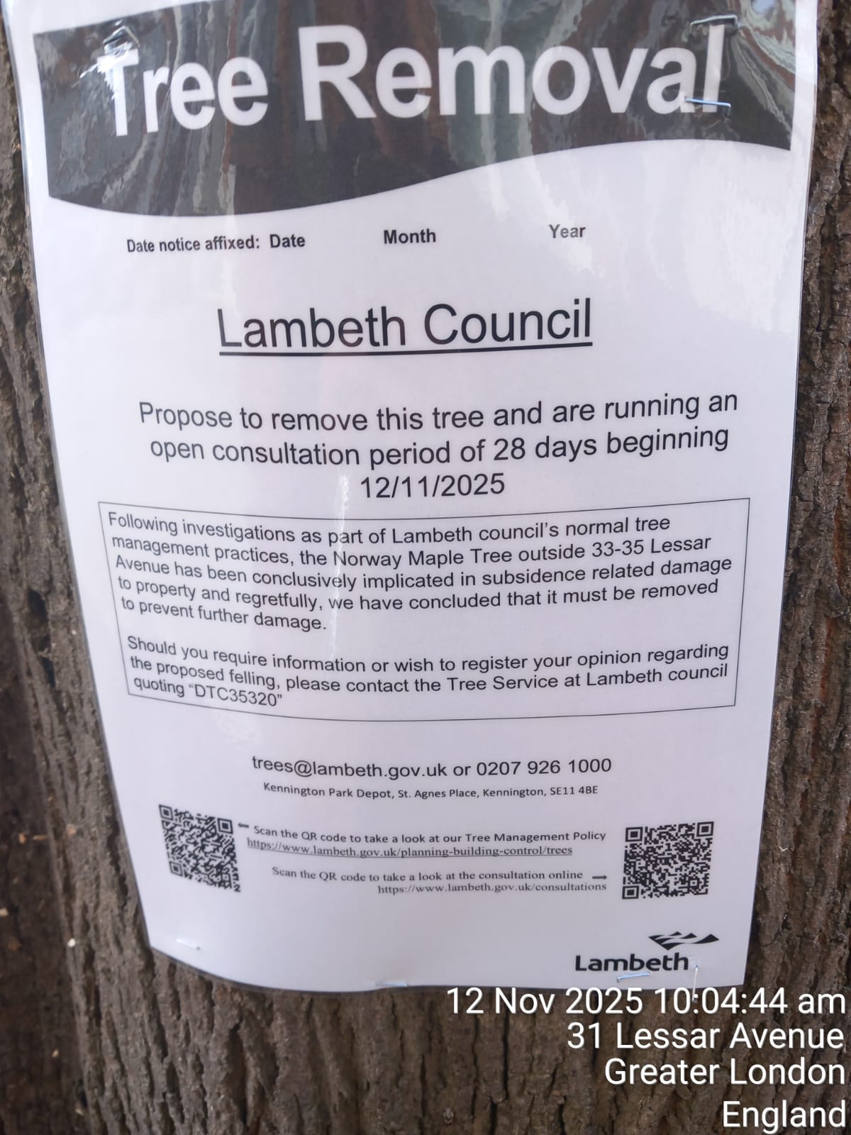 Project: Lessar Avenue Street Tree Removal | London Borough of Lambeth