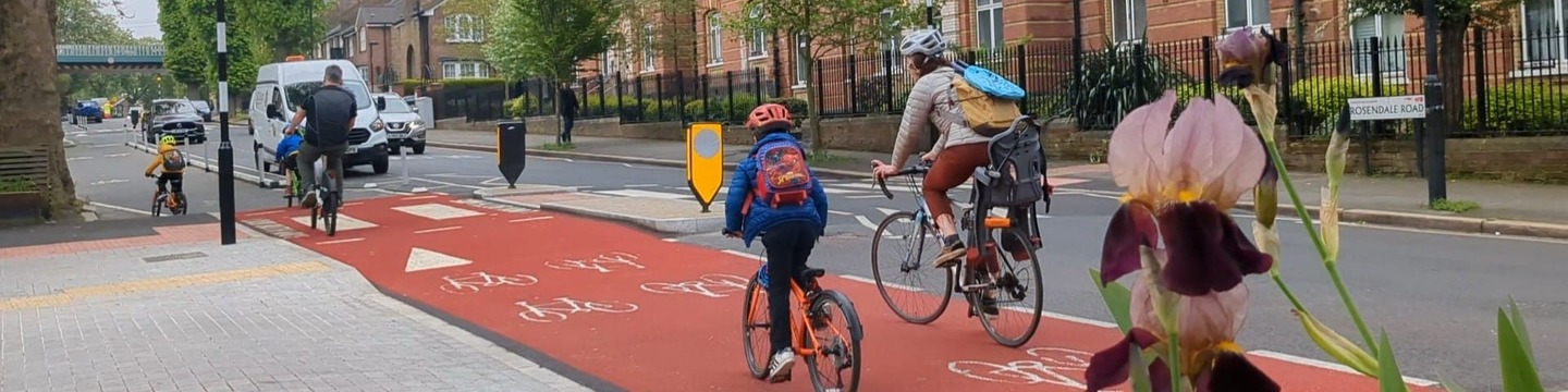 Image of families using the Cycelway