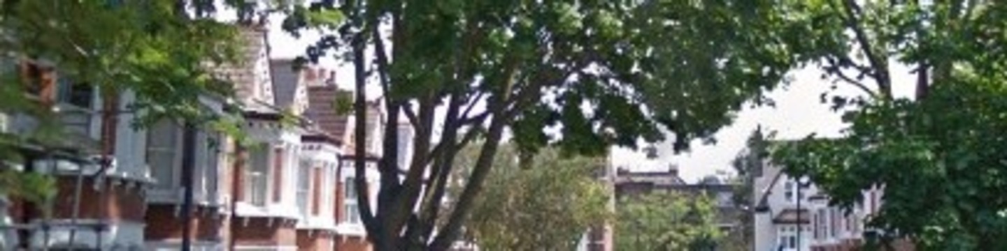Maple Lessar Ave