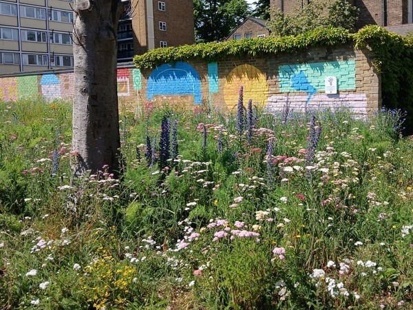 Flowery meadow by a tree