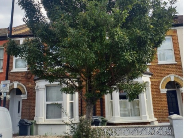 Ellora Road Hawthorn